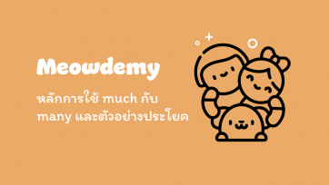 หลักการใช้ much กับ many และตัวอย่างประโยค