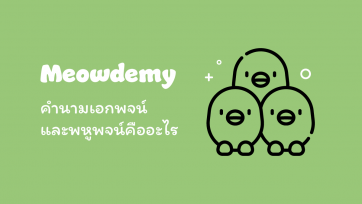 คำนาม เอกพจน์ และ พหูพจน์ คืออะไร